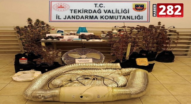 Tekirdağ'da evlerinde uyuşturucu yetiştiren şüpheliler yakalandı