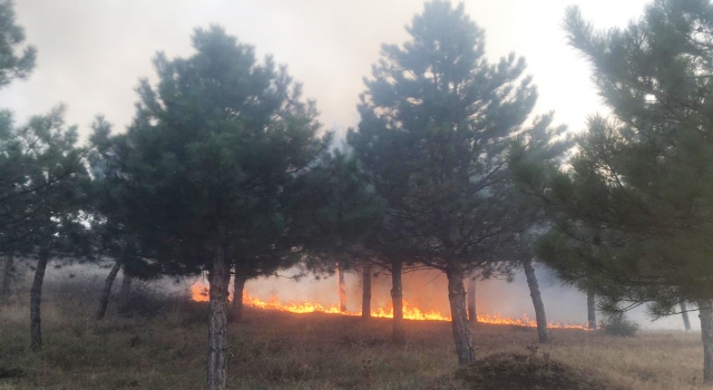 Hayrabolu’da mesire alanında çıkan yangın söndürüldü