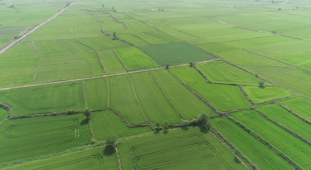 Tarım ve Orman Bakanlığı’ndan Edirne’ye 3 milyar 240 milyon liralık yatırım ve destek