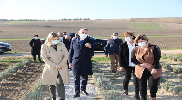 Kırklareli’nde kırsal köyler ”Mor renkli kraliçe” lavanta ile turizme kazandırılacak