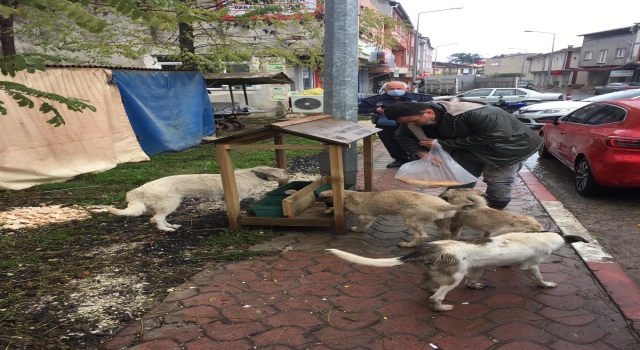 Demirköy Belediyesinden sokak hayvanlarına mama desteği