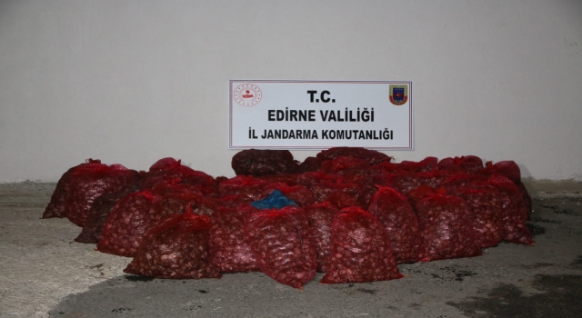 Edirne’de kaçak toplanan 1 ton kum midyesi ele geçirildi