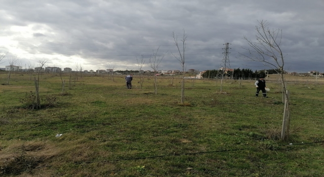 Tekirdağ’dan kısa kısa 