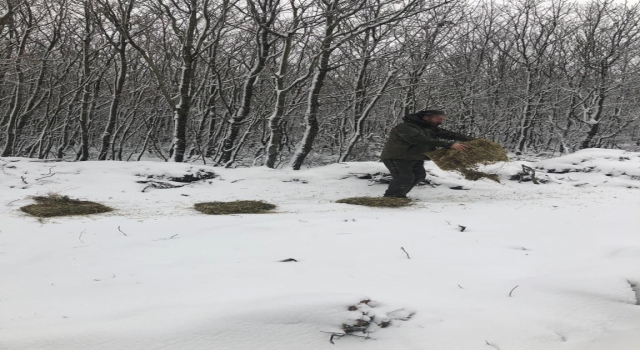 Tekirdağ’da yaban hayvanları için doğaya yem bırakıldı