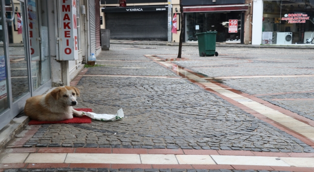 Trakya’da cadde ve sokaklarda sessizlik hakim oldu