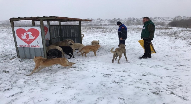 Kırklareli’nden kısa kısa