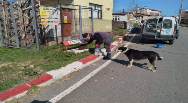 Kırklareli’nden kısa kısa