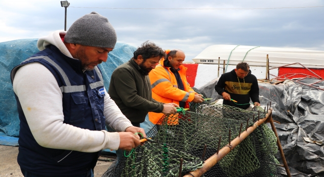 Tekirdağlı balıkçılar deniz salyası nedeniyle av sezonunu erken kapattı