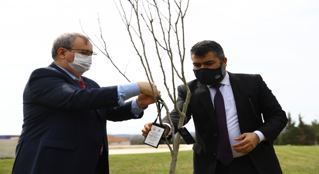 AA Edirne Bölge Müdürlüğü çalışanları, Anadolu Ajansının 101. kuruluş yıl dönümünü fidan dikerek kutladı