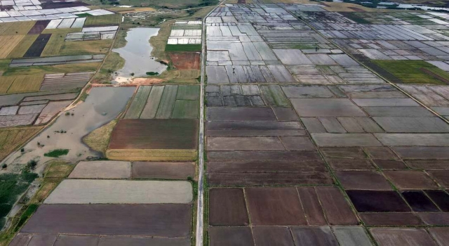 Türkiye’nin ”çeltik ambarı” Edirne’de çeltik ekim mesaisi tamamlandı