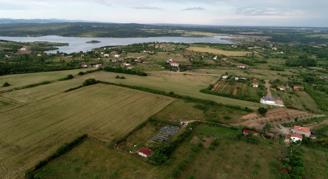 Trakya ”karaçalı” zenginliğiyle balda aroma isteyen arıcıların çekim noktası oluyor