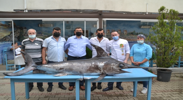 Saros Körfezi’nde yaklaşık 3 metre boyunda 88 kilogram ağırlığında kılıç balığı yakalandı