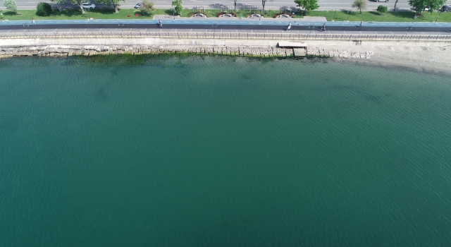 Tekirdağ’da rüzgar müsilajı kıyıdan uzaklaştırdı