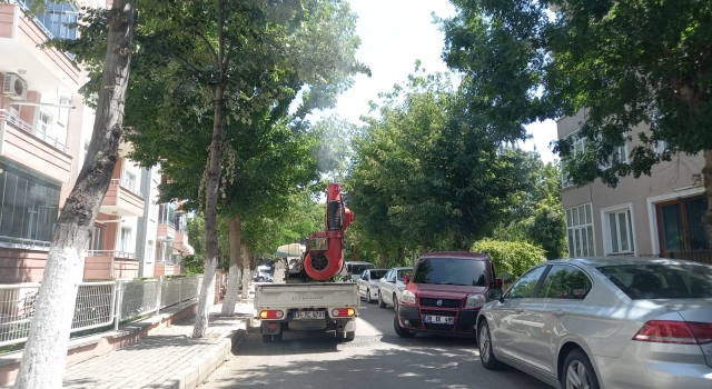 Kırklareli’nde ”dantel böceği”ne karşı ilaçlama çalışması başlatıldı