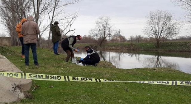 Tunca Nehri’nde kadın cesedi bulundu