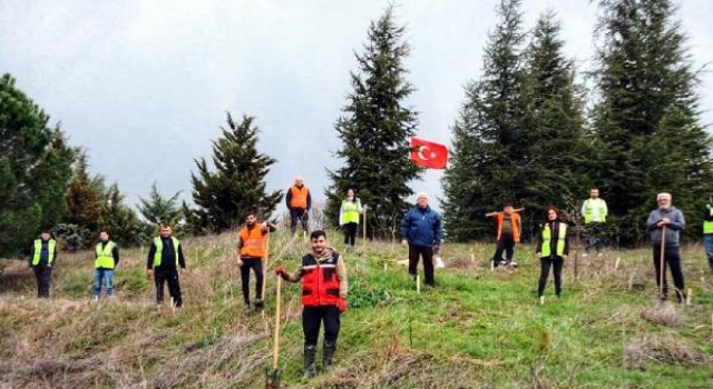 Lüleburgaz’da Balkan Şehitliği’ne 120 fidan dikildi