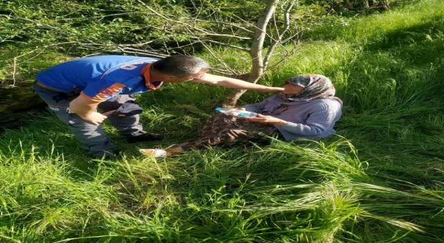 Edirne’de kaybolan kadın, köyünden 1 kilometre uzakta bulundu