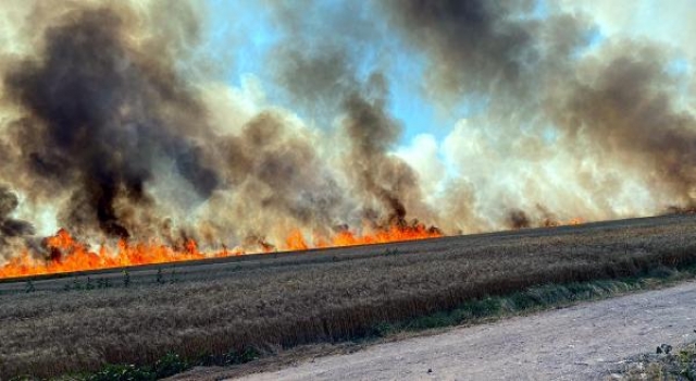 Tekirdağ’da 400 dekar buğday tarlası yandı