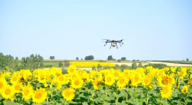 Kırklareli’de çayır tırılına karşı dronla mücadele başladı