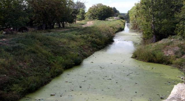 Tunca Nehri otlarla kaplandı, Bayır Deresi çöplüğe döndü