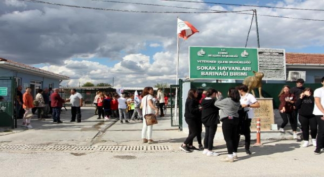 Edirneli öğrenciler sokak hayvanlarıyla buluştu