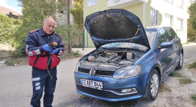 Edirne’de otomobilin motor kısmına sıkışan yavru kediyi itfaiye kurtardı