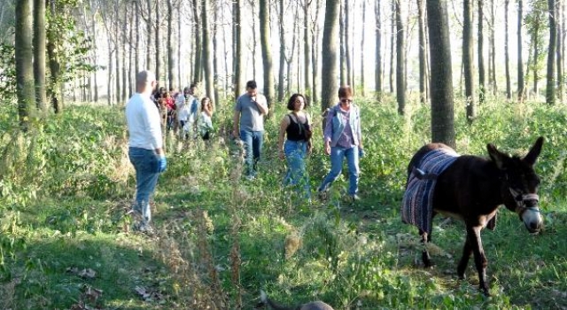 Üniversiteliler, topluma hizmet dersinde Meriç Nehri kıyısında çöp topladı