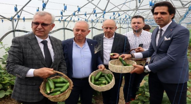 Keşan’da tarım bölümü öğrencilerinin ürettiği arpa ve sera salatalık hasadı yapıldı