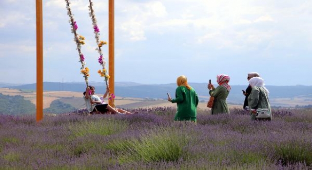 Tekirdağ’da mora bürünen lavanta tarlaları ziyaretçilere açıldı