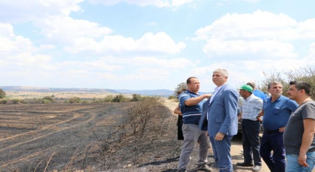 Edirne’deki yangında 2 bin 330 dekar alanda zarar oluştu