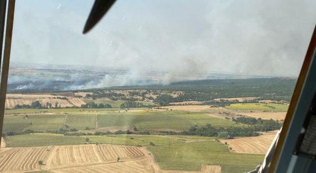 Edirne’de tarladan ormana sıçrayan yangın, kontrol altına alındı