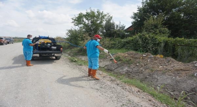 Edirne’de sivrisineklere karşı 8 ekiple mücadele