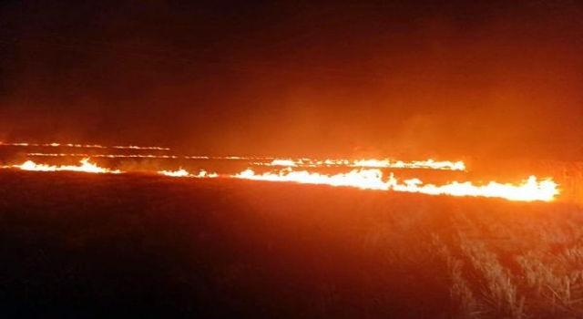 Malkara’da 40 dönüm alanda anız yangını