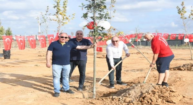 Çorlu’da iş insanlarından Cumhuriyet ormanına 1000 fidan