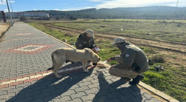 Keşan’da polis, sokak hayvanlarını besledi