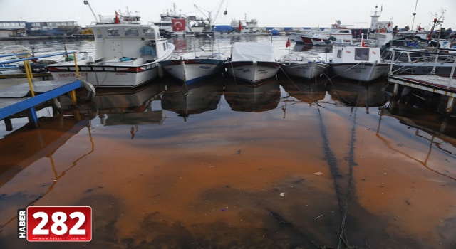 Tekirdağ sahilinde plankton çoğalması deniz suyunu turuncuya dönüştürdü