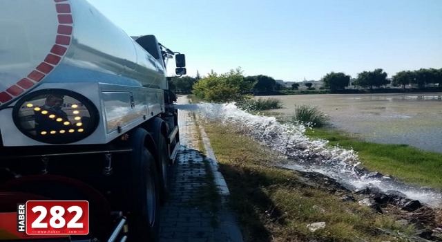 Ergene Belediyesi Susuz Kalan Kaplumbağların’da İmdadına Yetişti