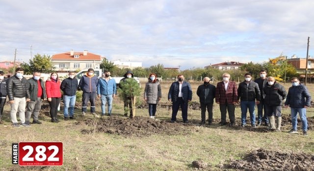 Fidanlar Ergene’de Toprakla Buluştu