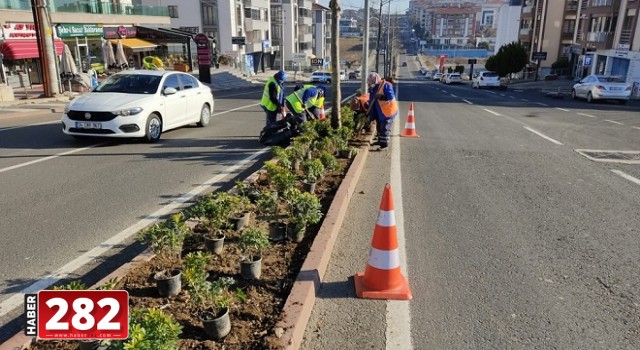 PARK BAHÇELER EKİPLERİ AĞAÇLANDIRMA VE PEYZAJ ÇALIŞMALARINI SÜRDÜRÜYOR