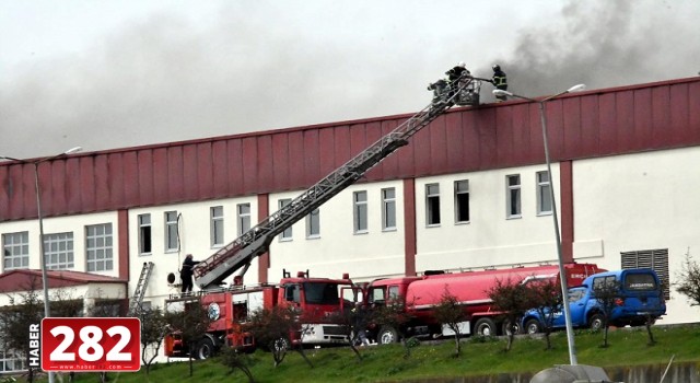 Tekirdağ’da fabrika yangını (2)