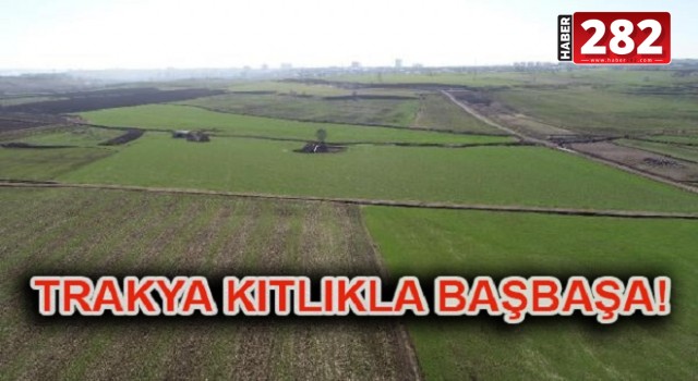 ÇİFTÇİLER UYARDI: TRAKYA DİKKAT!