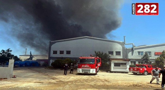 Tekirdağ’da fabrika yangını