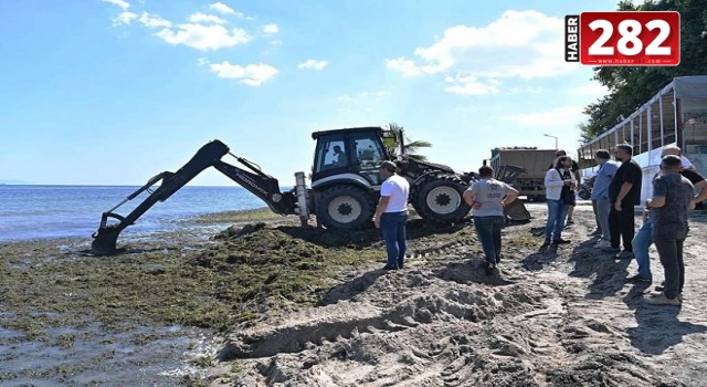 Süleymanpaşa'nın Değirmenaltı sahilinde temizlik çalışmaları başladı