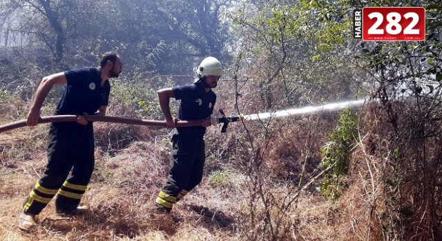 Tekirdağ'da anız yangını ormana ulaşmadan söndürüldü