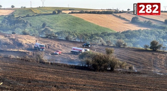 TEKİRDAĞ'da anız yangınında 100 dönüm tarım alanı zarar gördü