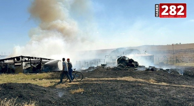 Tekirdağ'da çiftlikteki yangında 500 dönüm tarım arazisi zarar gördü