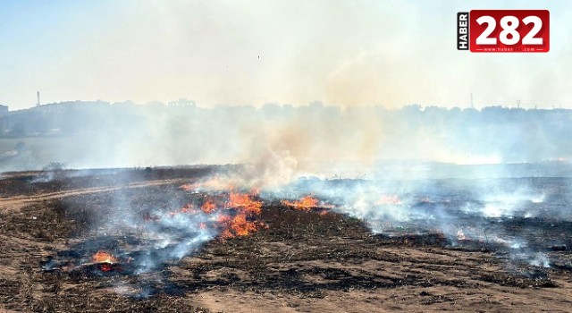 Tekirdağ'da temmuz ayında 911 yangın çıktı