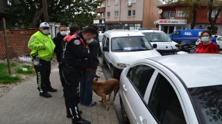 Polis ekiplerinden kaçan hırsızlık şüphelisini köpeği ele verdi