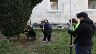 Edirne’de yıllara meydan okuyan anıt ağaçlar koruma altına alındı