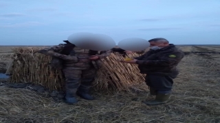 Edirne’den kısa kısa 